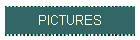 PICTURES