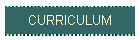 CURRICULUM